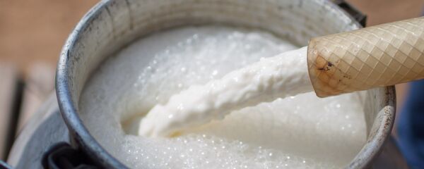 Молоко на фермерском хозяйстве Молоко на фермерском хозяйстве - Sputnik Беларусь