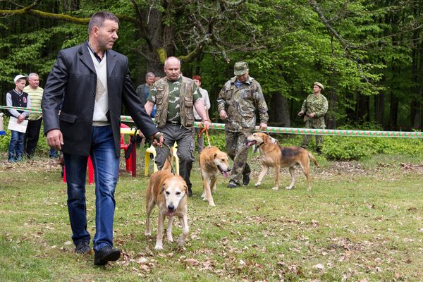 Выставка охотничьих собак - Sputnik Беларусь