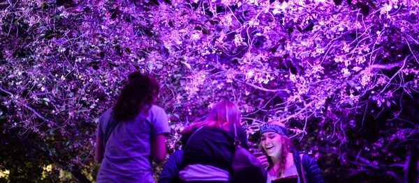 Болельщики смотрят прямую трансляцию конкурса Евровидение-2016 в Стокгольме Болельщики смотрят прямую трансляцию конкурса Евровидение-2016 в Стокгольме - Sputnik Беларусь