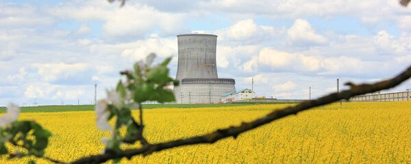 Белорусская АЭС в мае - Sputnik Беларусь