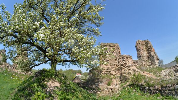 Руины Кревского замка, в котором была когда-то подписана уния, объединившая ВКЛ и Речь Посполитую. - Sputnik Беларусь