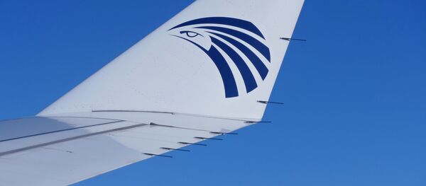 Крыло самолета компании EgyptAir - Sputnik Беларусь