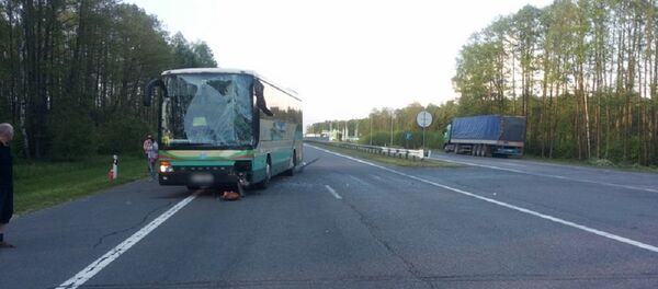 ДТП с участием автопоезда МАЗ и автобуса Setra - Sputnik Беларусь