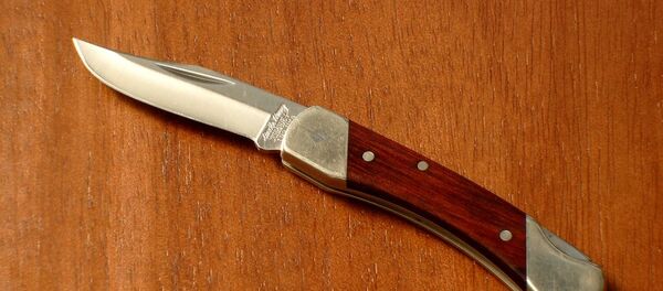 Нож - Sputnik Беларусь