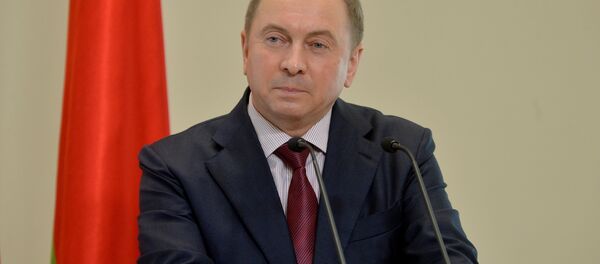 Министр иностранных дел Беларуси Владимир Макей Министр иностранных дел Беларуси Владимир Макей - Sputnik Беларусь