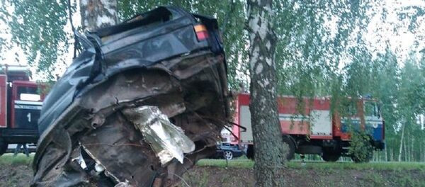 Последствия столкновения Passat с деревом - Sputnik Беларусь