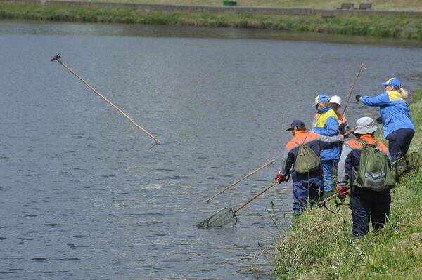 Очистка Свислочи - Sputnik Беларусь