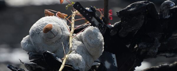 Мягкая игрушка на месте крушения малайзийского Boeing 777 в районе деревни Грабово недалеко от Шахтерска в Донецкой области - Sputnik Беларусь