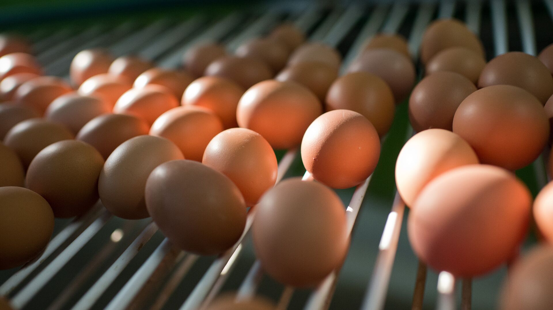 Идеальны не только на завтрак: чем полезны для организма яйца? - 20.05.2023, Sputnik Беларусь