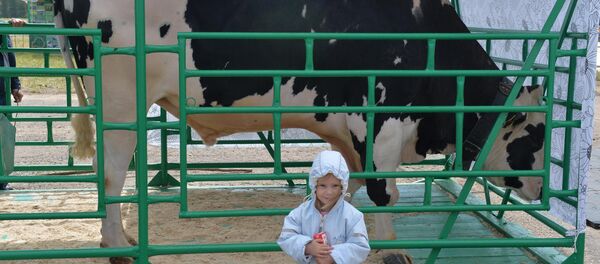 Международная выставка Белагро-2016 - Sputnik Беларусь