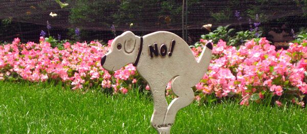 Шыльда ў парку Шыльда ў парку - Sputnik Беларусь