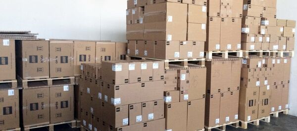 Изъятая до решения суда партия конструкторов LEGO - Sputnik Беларусь