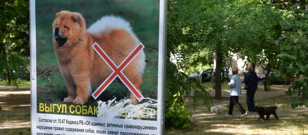 Шыльда з забаронай выгуу сабак у мінскіх дварах Шыльда з забаронай выгуу сабак у мінскіх дварах - Sputnik Беларусь