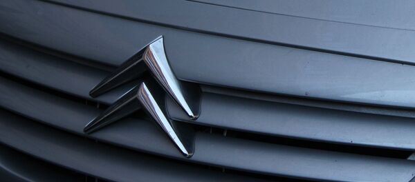 Радиаторная решетка автомобиля Citroen, архивное фото - Sputnik Беларусь