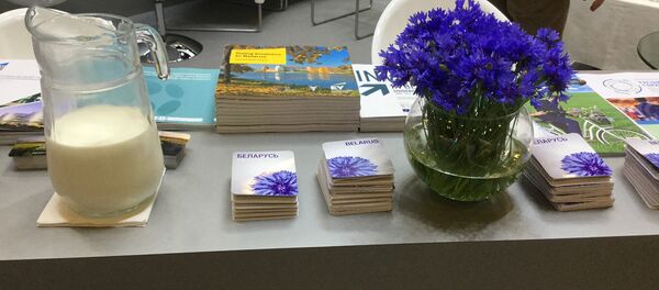 Васильки и молоко - белорусские символы на Петербургском международном экономическом форуме - Sputnik Беларусь