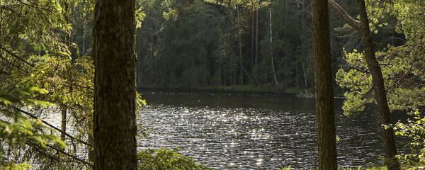 Река, архивное фото - Sputnik Беларусь
