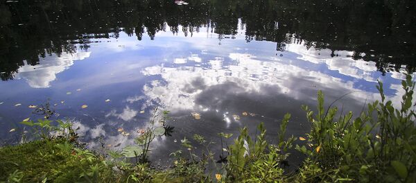 Озеро, архивное фото - Sputnik Беларусь