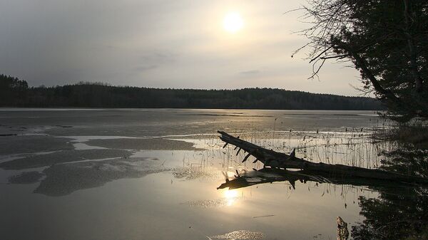 Природный комплекс Голубые озера - Sputnik Беларусь