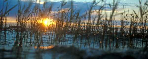 Закат на Сямозере - Sputnik Беларусь