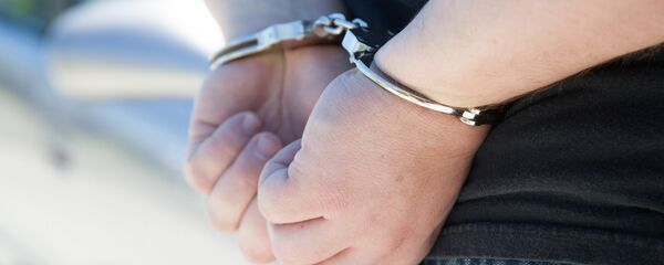 Задержание злоумышленника - Sputnik Беларусь