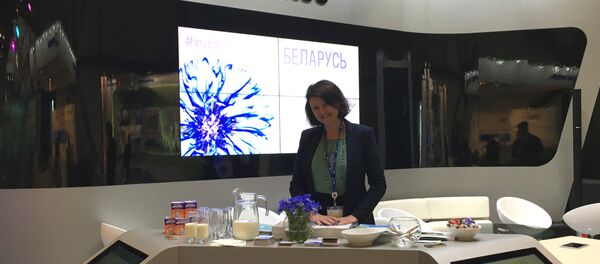 Директор Национального агентства инвестиций и приватизации Наталья Никандрова Директор Национального агентства инвестиций и приватизации Наталья Никандрова - Sputnik Беларусь