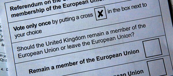 Бюллетени на референдум о выходе Великобритании из ЕС Бюллетени на референдум о выходе Великобритании из ЕС - Sputnik Беларусь