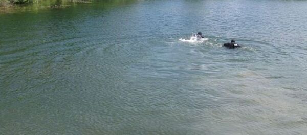 Поиски утонувших детей на водоеме в Березе - Sputnik Беларусь