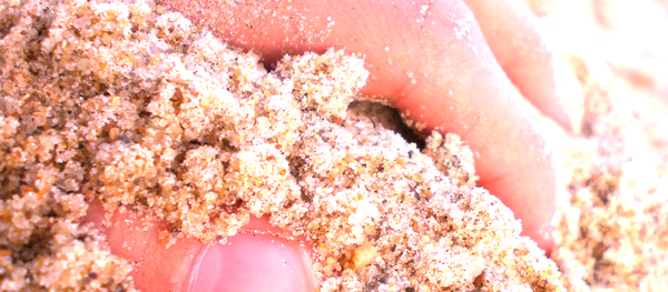 Рука в пляжном песке. Архивное фото Рука в пляжном песке. Архивное фото - Sputnik Беларусь