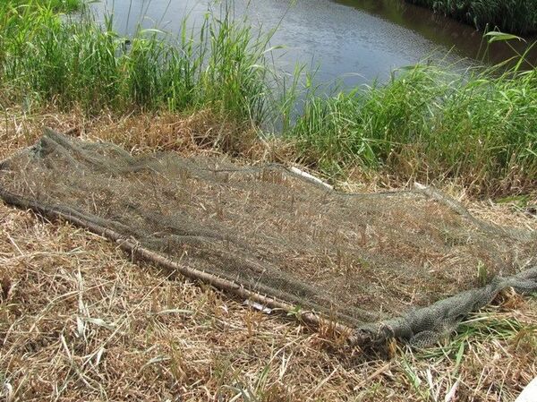 Подростки погибли во время рыбалки Подростки погибли во время рыбалки - Sputnik Беларусь