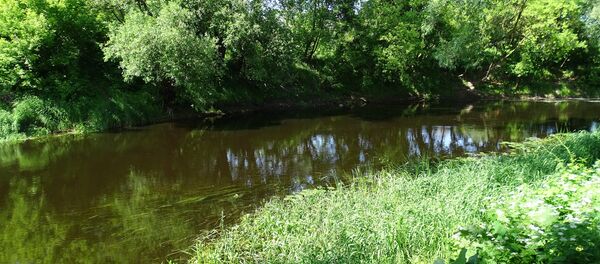 Река в Беларуси. Архивное фото Река в Беларуси. Архивное фото - Sputnik Беларусь