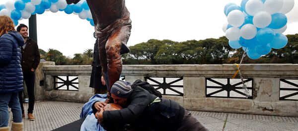 Статуя Лионелю Месси в Аргентине - Sputnik Беларусь