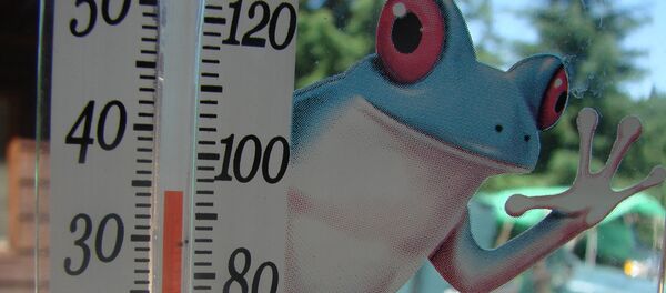 Термометр - Sputnik Беларусь