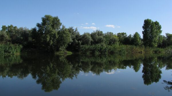 Река Днепр. Архивное фото - Sputnik Беларусь