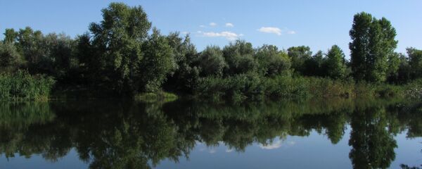 Река Днепр. Архивное фото - Sputnik Беларусь