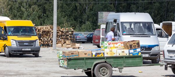 Огуречный сезон в деревне Ольшаны - Sputnik Беларусь