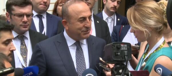 Спутник_Я очень рад – глава МИД Турции о нормализации отношений с Россией - Sputnik Беларусь