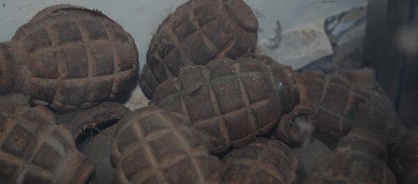 Гранаты, архивное фото - Sputnik Беларусь