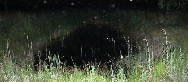 Водоем, в котором утонул ребенок - Sputnik Беларусь