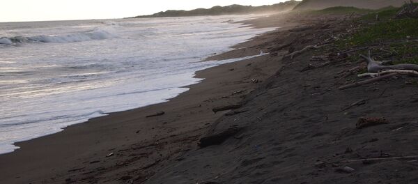 Пляж на Фиджи, архивное фото - Sputnik Беларусь