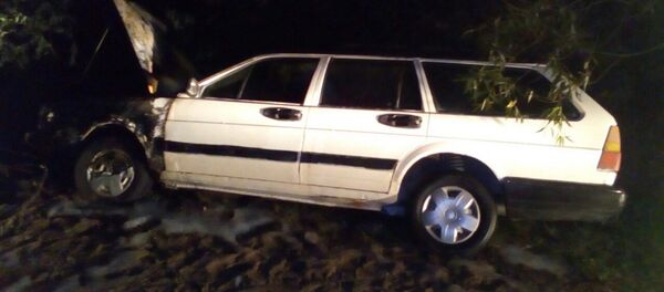 Volkswagen Passat, вылетевший в кювет - Sputnik Беларусь