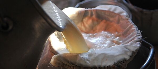 Работа полевой молочной фермы - Sputnik Беларусь