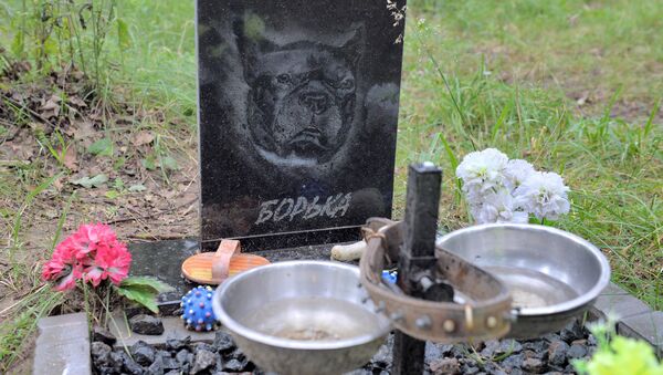 Кладбище домашних животных возле МКАД - Sputnik Беларусь