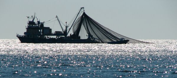 Рыболовецкий траулер в море Рыболовецкий траулер в море - Sputnik Беларусь