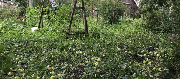 Знішчаныя грады ў Дзяржынску Знішчаныя грады ў Дзяржынску - Sputnik Беларусь