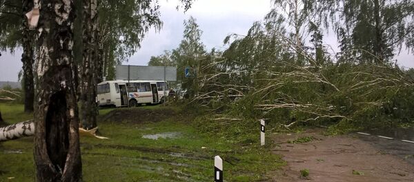 Завал на дороге - Sputnik Беларусь