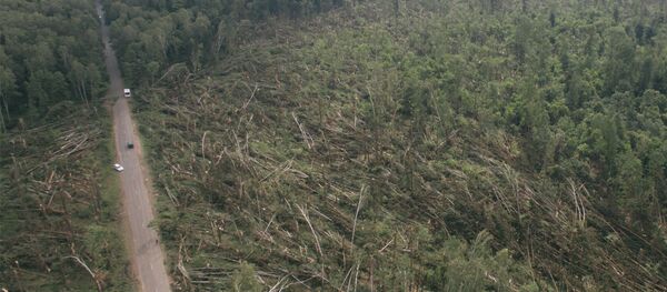 Последствия урагана в Прилуках - Sputnik Беларусь