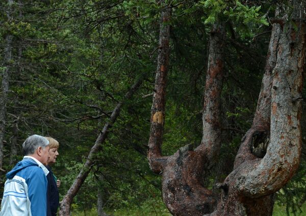 Несмотря на теплую погоду в Бишкеке, для прогулки у подножия горы президент Кыргызстана и канцлер ФРГ надели теплые куртки - Sputnik Беларусь