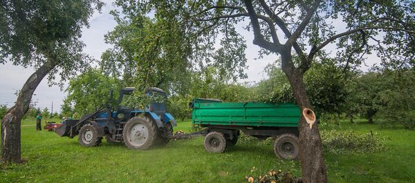 Ликвидация последствий непогоды в Лошицком парке Ликвидация последствий непогоды в Лошицком парке - Sputnik Беларусь
