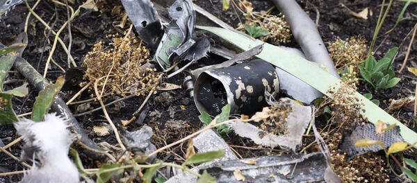 Место крушения Boeing 777 малайзийских авиалиний Место крушения Boeing 777 малайзийских авиалиний - Sputnik Беларусь