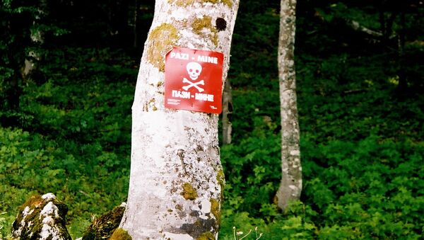 Предупреждающий знак в Боснии - впереди минное поле - Sputnik Беларусь